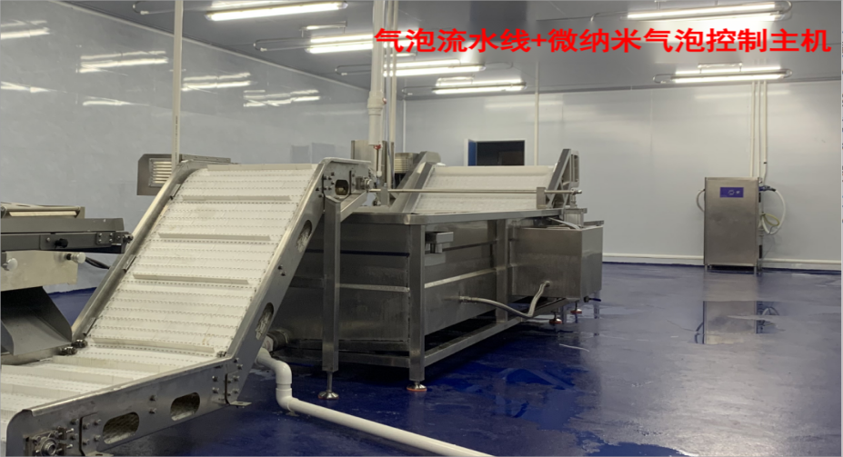 肉類納米去腥流水線